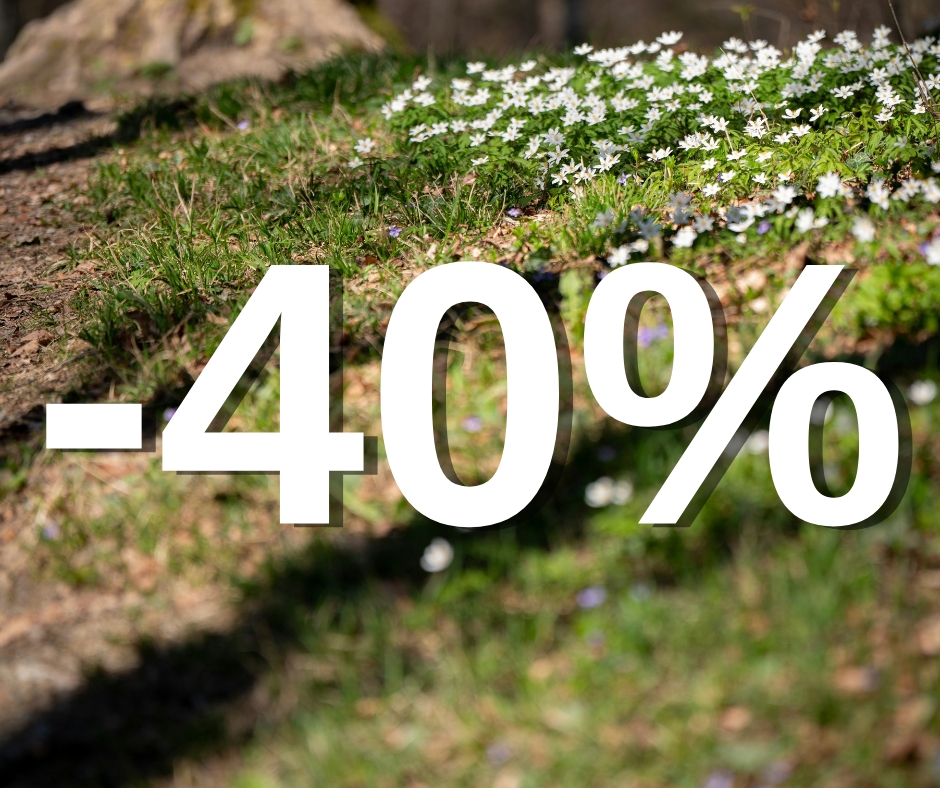 -40% ON THE 2ND NIGHT